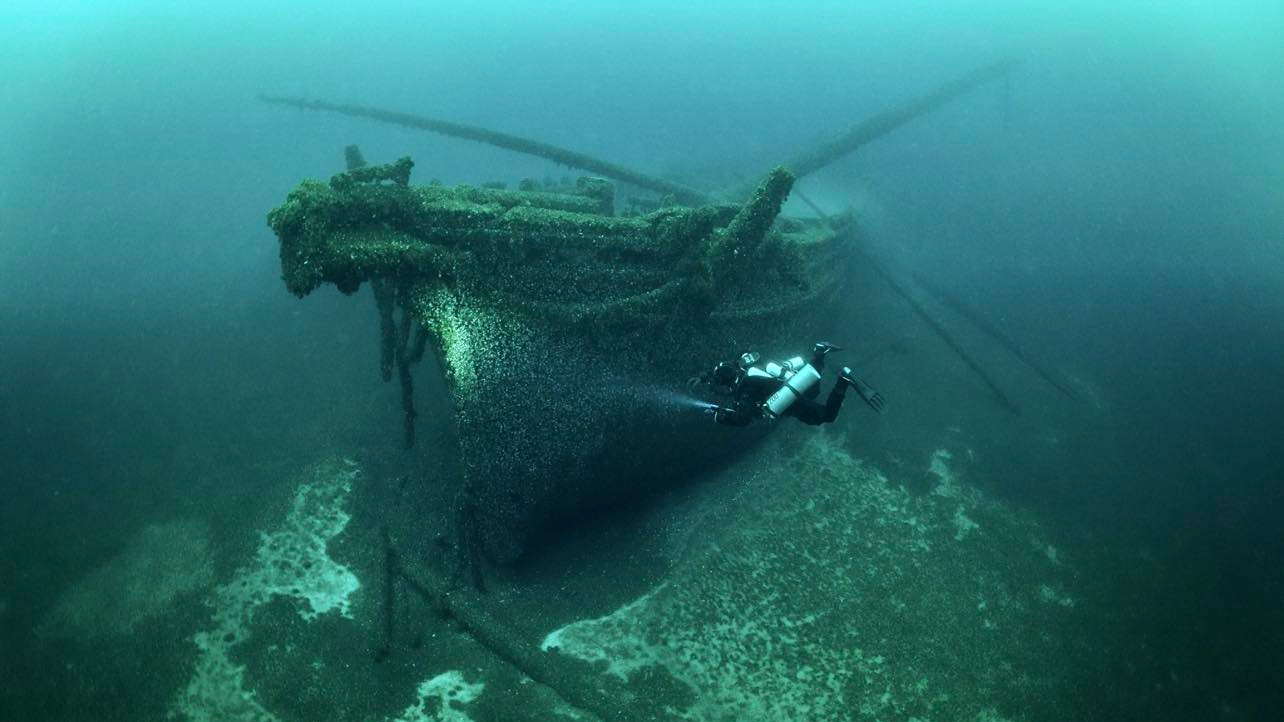A diver swims past the hull of the A. P. Handy